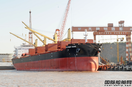 扬帆集团一艘64000吨系列散货船交付