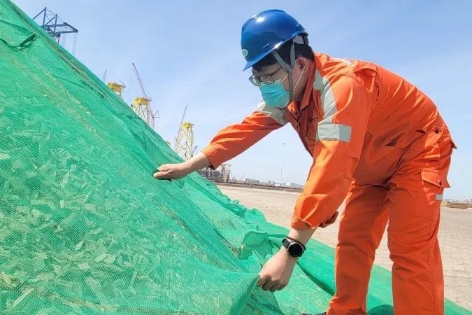 蓬莱港打造“木材物流”集成服务新模式